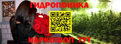 spice Будённовск