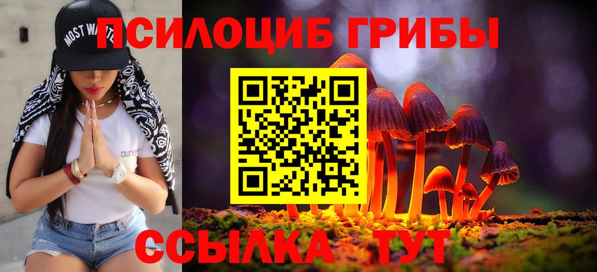 Аксай  Галлюциногенные грибы MAGIC MUSHROOMS  Вход с VPN 