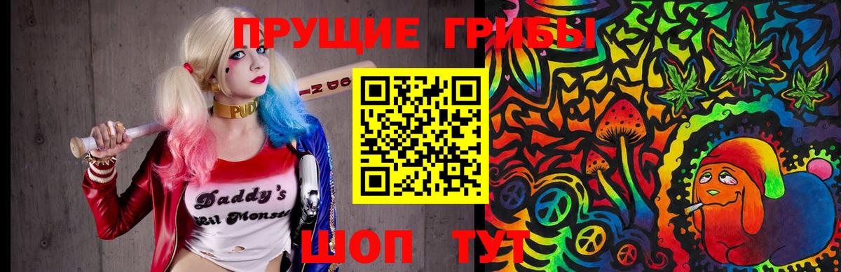 Галлюциногенные грибы Psilocybine cubensis Аксай